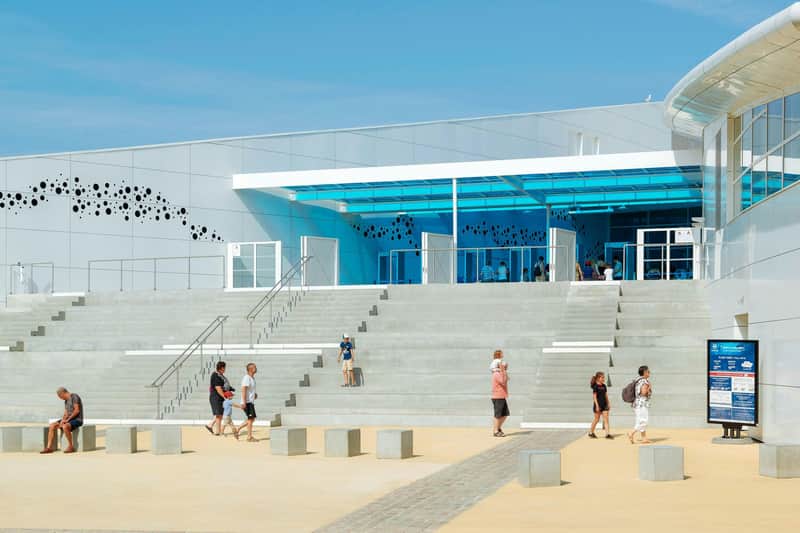 Nausicaá: Skip The Line Ticket Nausicaá: Skip The Line Ticket