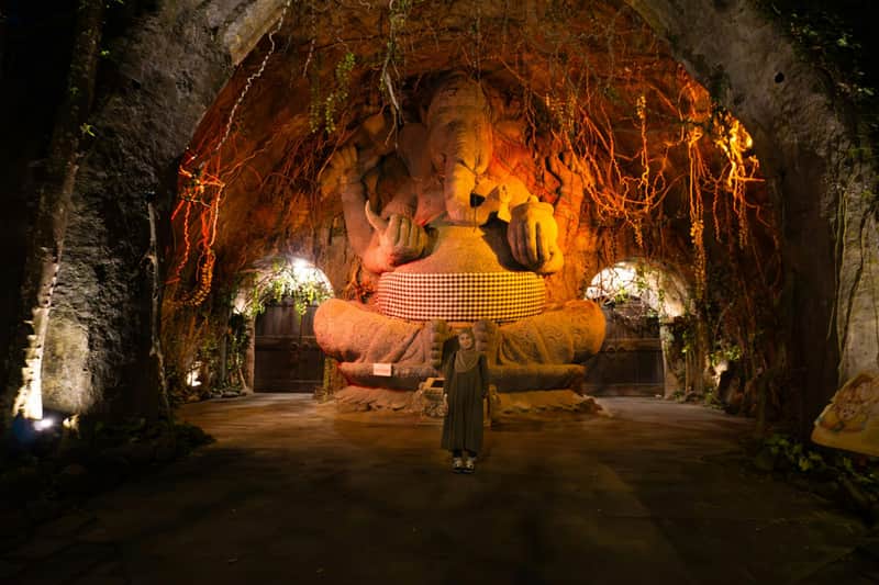 Bali Safari Park: Rhino Package Ticket with Unlimited Access