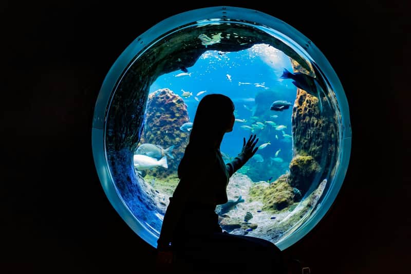 Enoshima Aquarium: Entry Ticket