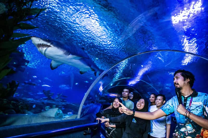 Aquaria KLCC: Entry Ticket