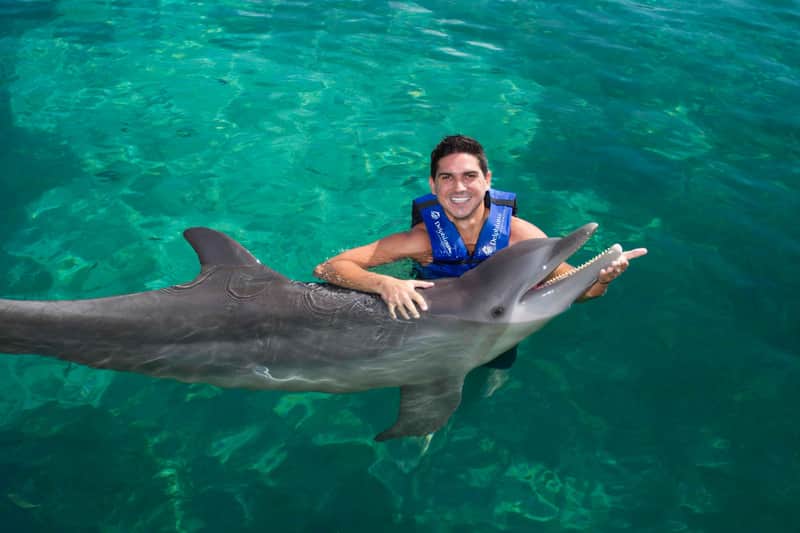 Delphinus Xcaret: Swim with Dolphins