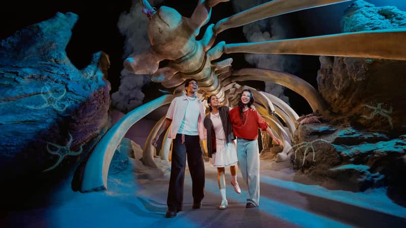 Singapore Oceanarium: 1-Day Ticket + Animal Spotlight on Sea Jellies with English Guide