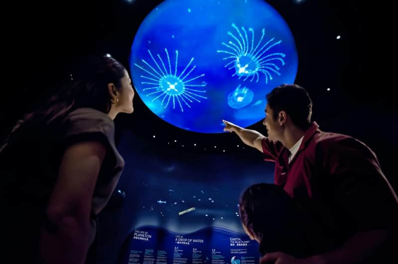 Singapore Oceanarium: Entry Ticket