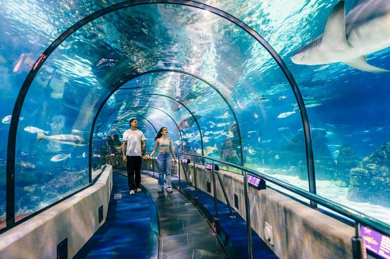 Barcelona Aquarium: Entry Ticket Barcelona Aquarium: Entry Ticket