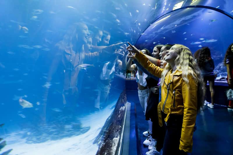Atlantis Aquarium Madrid: Entry Ticket Atlantis Aquarium Madrid: Entry Ticket