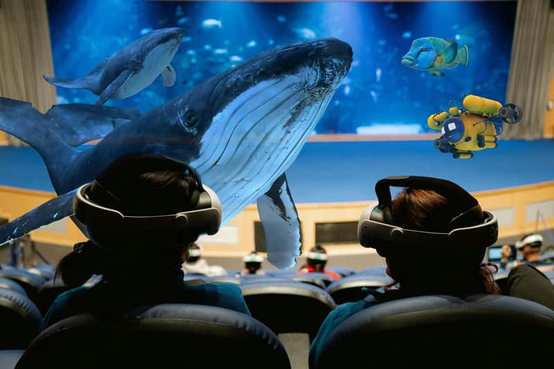 Oceanarium Oceanogràfic w Walencji: Bilet wstępu + Doświadczenie w mieszanej rzeczywistości