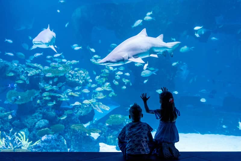 Aquaria Phuket: Entry Ticket