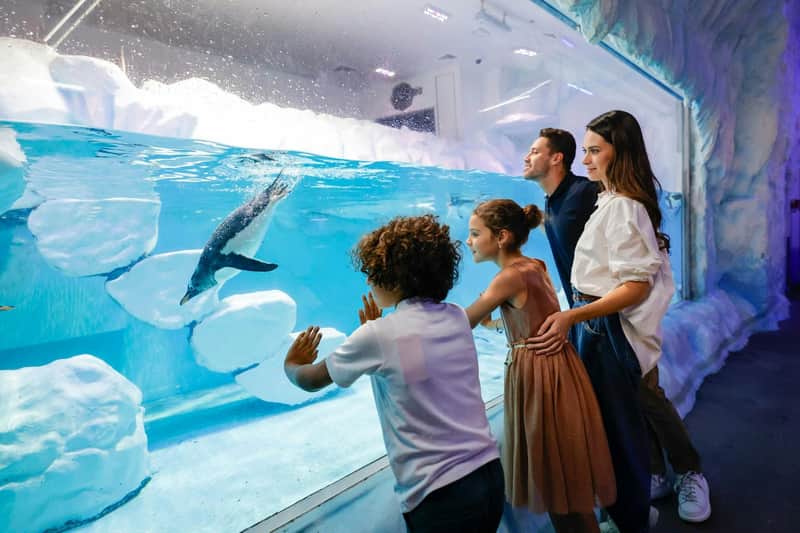 Dubai Aquarium & Underwater Zoo: Entry Ticket Dubai Aquarium & Underwater Zoo: Entry Ticket