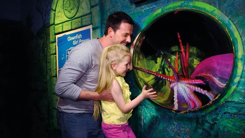 SEA LIFE London: Entry Ticket SEA LIFE London: Entry Ticket