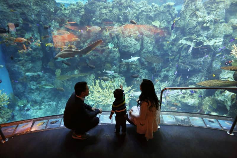 Aquarium of the Pacific: Membership Voucher