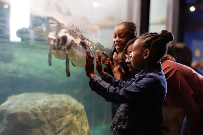 Aquarium of Niagara: Entry Ticket