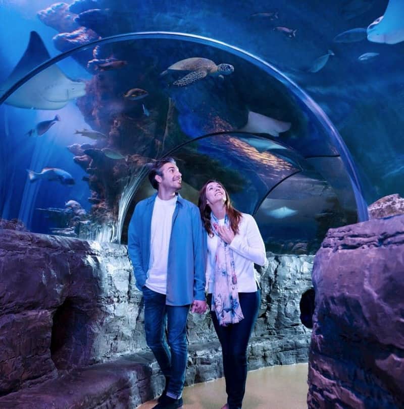 SEA LIFE Orlando & Madame Tussauds: Entry Ticket SEA LIFE Orlando & Madame Tussauds: Entry Ticket