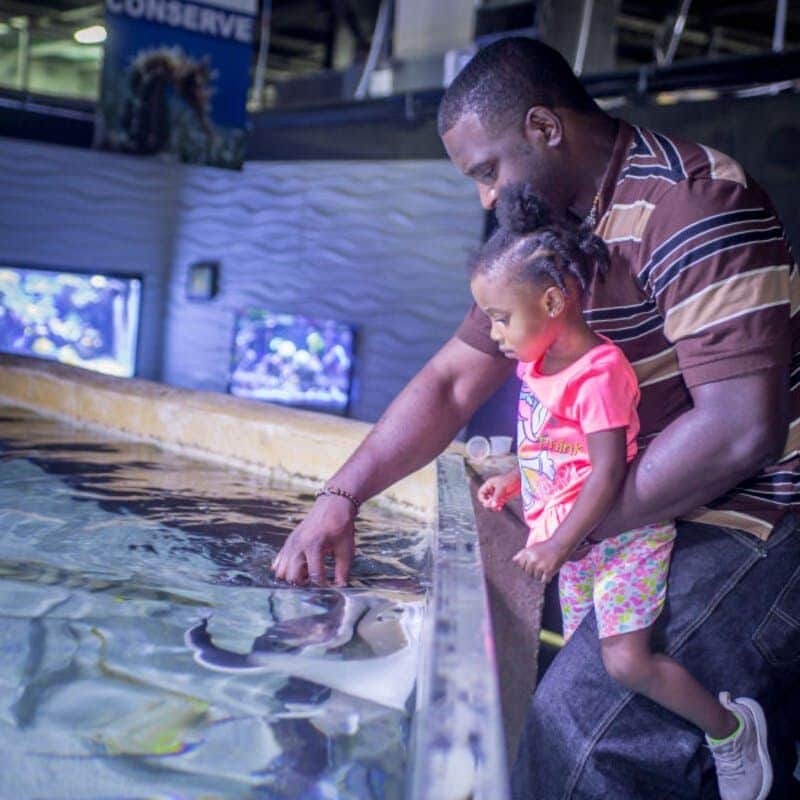 San Antonio Aquarium: Entry Ticket San Antonio Aquarium: Entry Ticket