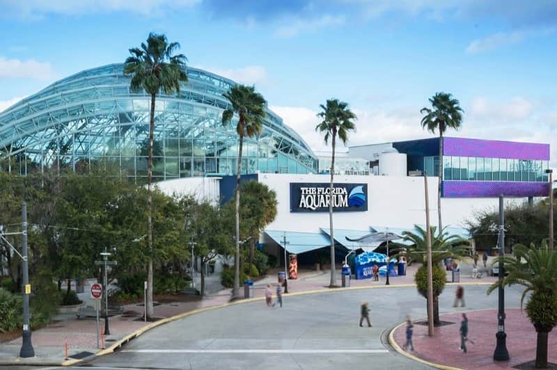 The Florida Aquarium: Entry Ticket The Florida Aquarium: Entry Ticket