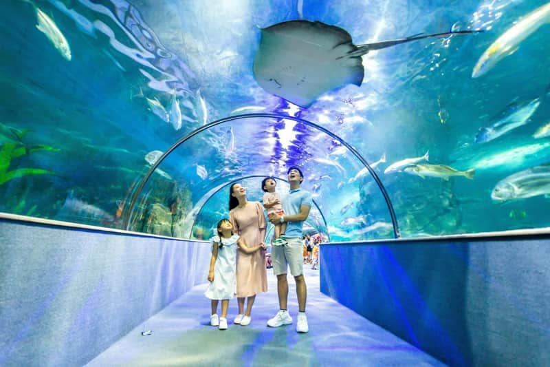 VinKE & Vinpearl Aquarium: Entry Ticket