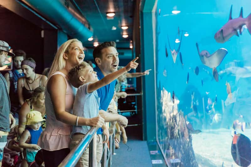 Sea World Gold Coast