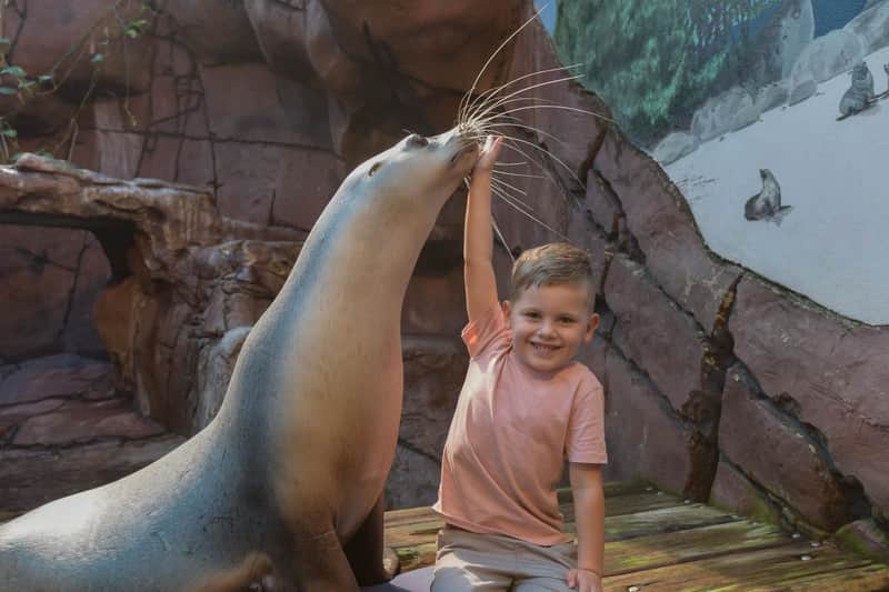 Aquarium SEA LIFE Sunshine Coast Aquarium SEA LIFE Sunshine Coast