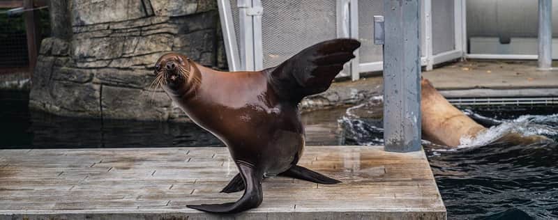 Vancouver Aquarium