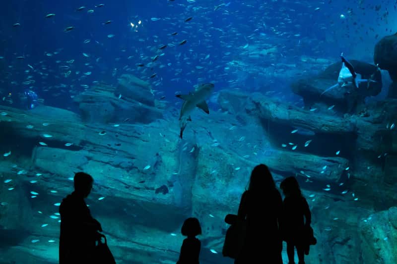 Aquarium de Paris Aquarium de Paris