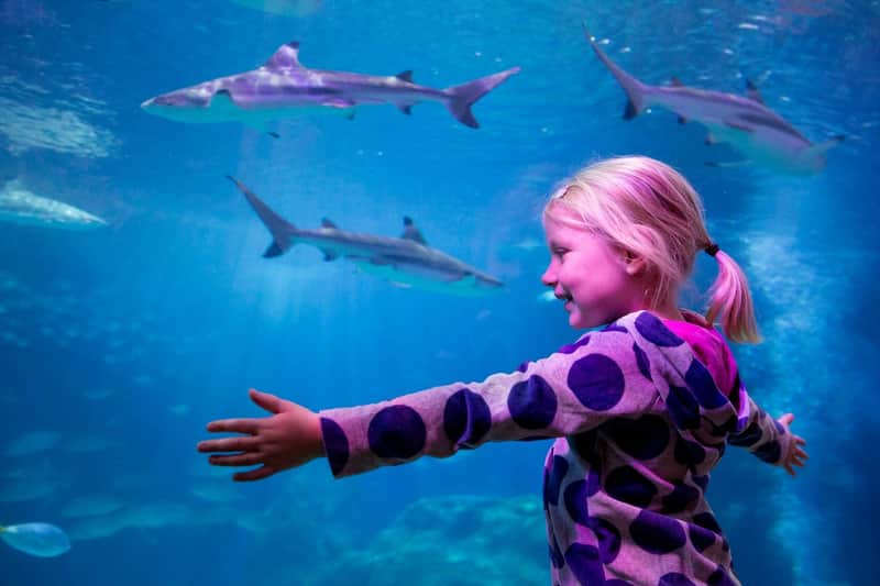 SEA LIFE Oberhausen SEA LIFE Oberhausen