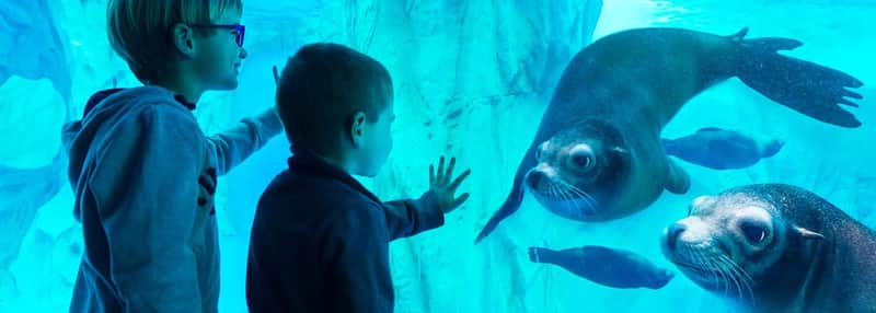 Gardaland SEA LIFE Aquarium