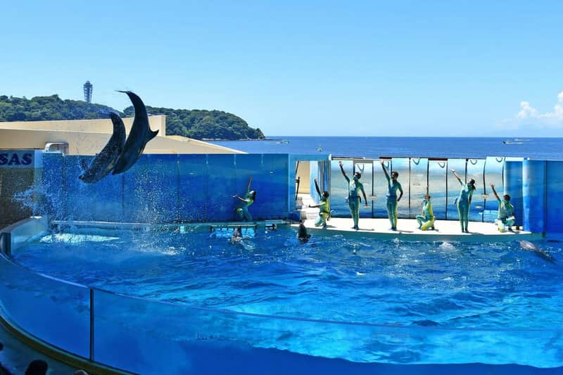 Enoshima Aquarium Enoshima Aquarium
