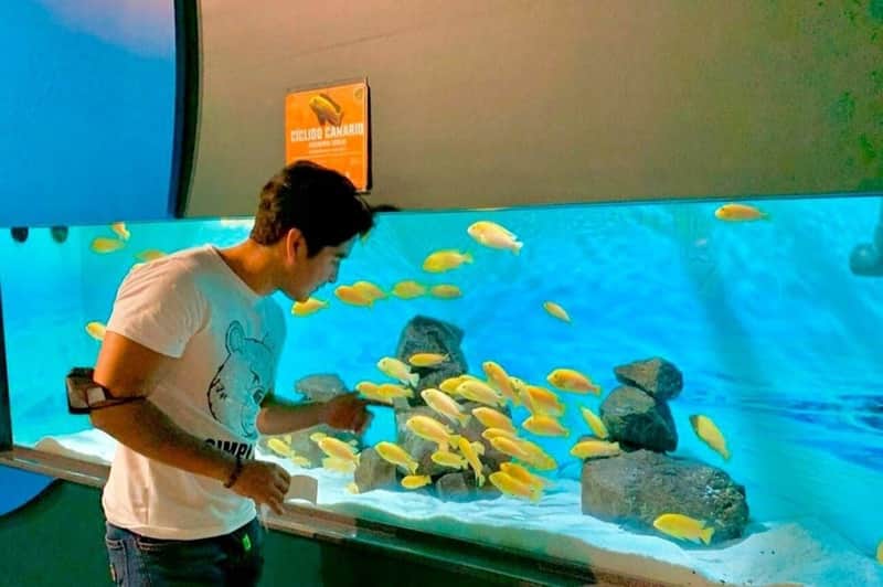 Michin Aquarium Puebla Michin Aquarium Puebla