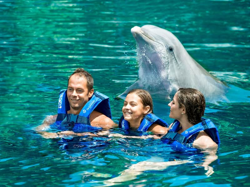 Delphinus Xel-Há Delphinus Xel-Há