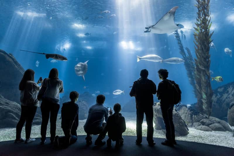 Oceanário de Lisboa Oceanário de Lisboa