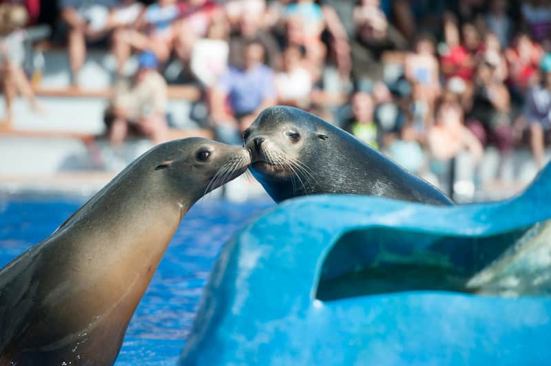 Marineland Mallorca Marineland Mallorca