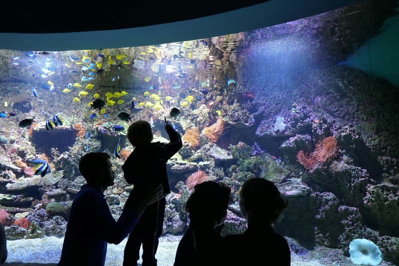 Aquarium de Séville Aquarium de Séville