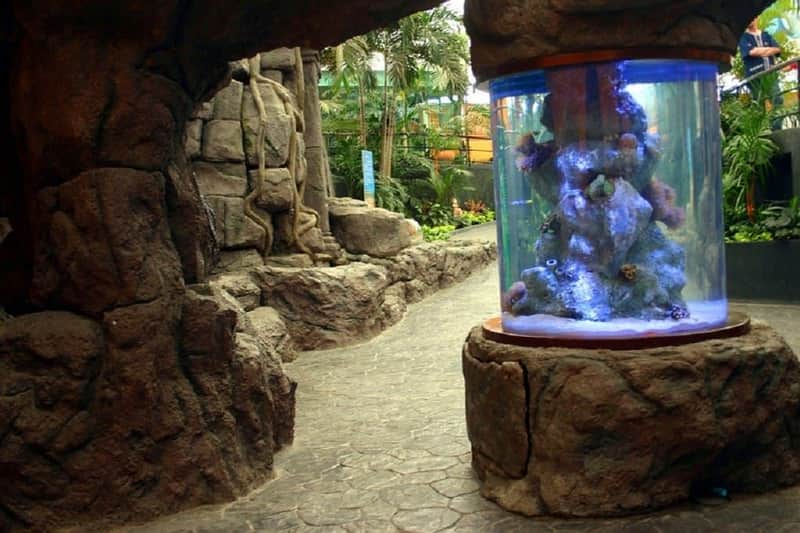 Underwater World Pattaya Underwater World Pattaya