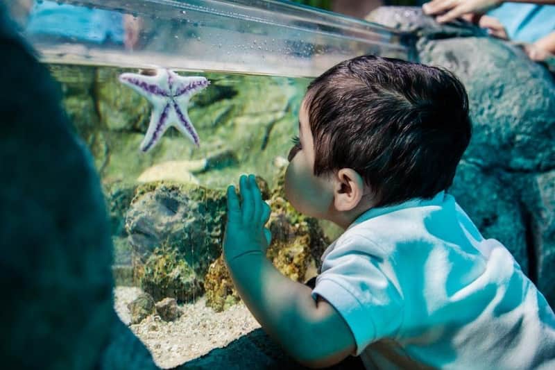 SEA LIFE Scheveningen