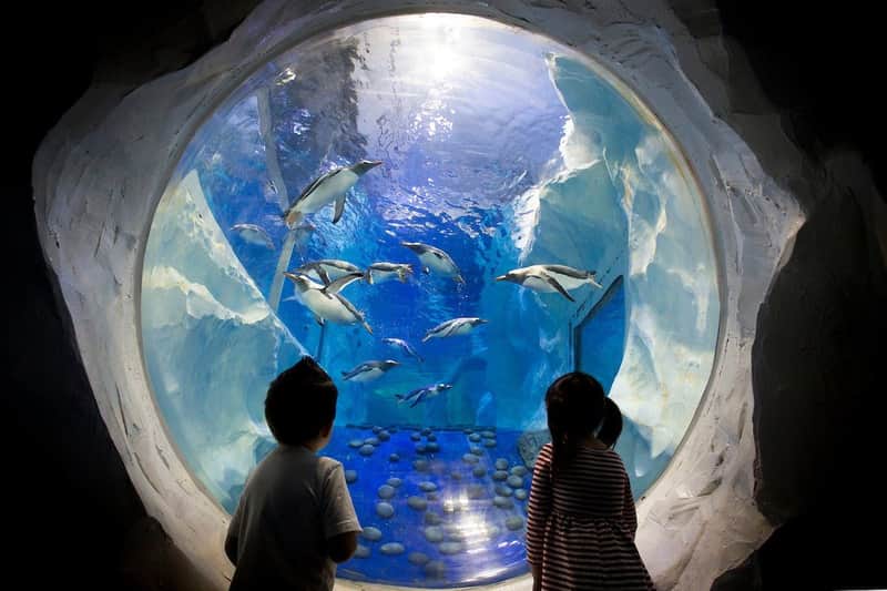 SEA LIFE Birmingham SEA LIFE Birmingham