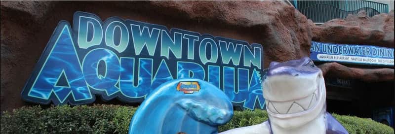 Downtown Aquarium Houston Downtown Aquarium Houston