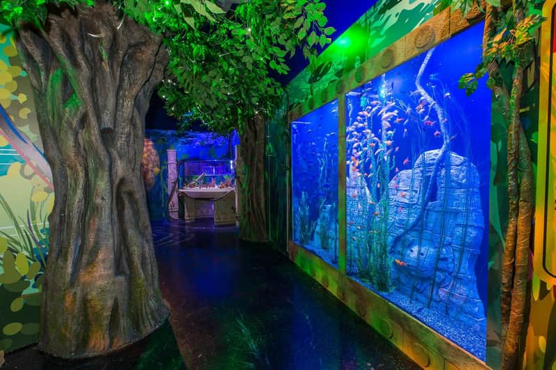 SEA LIFE Orlando SEA LIFE Orlando