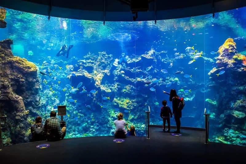California Academy of Sciences