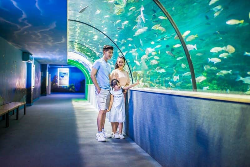 VinKE & Vinpearl Aquarium VinKE & Vinpearl Aquarium