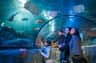 A family of four observes marine life through an underwater tunnel in an aquarium, surrounded by various fish and rays.