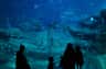 Aquarium de Paris
