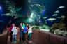 SEA LIFE Timmendorfer Strand
