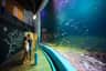 Interactive Aquarium Cancún