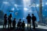 Oceanário de Lisboa