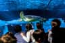 SEA LIFE Porto