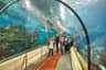 Barcelona Aquarium