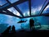 Palma Aquarium
