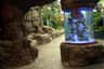 Underwater World Pattaya