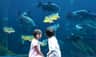 Aquaria Phuket