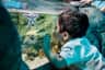 SEA LIFE Scheveningen