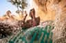 Aquaventure World